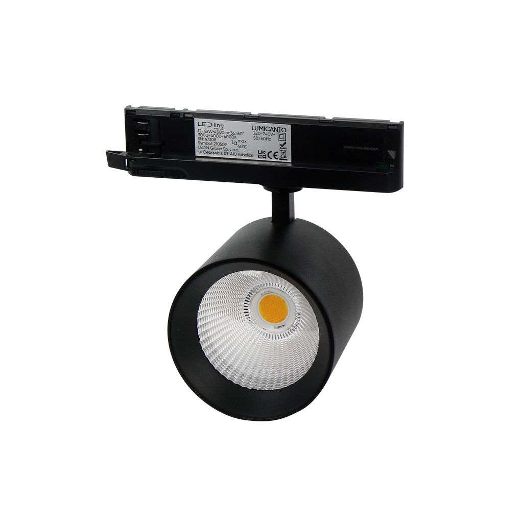 Railspot LUMICANTO 6-20W CCT 36/60° zwart PRIME