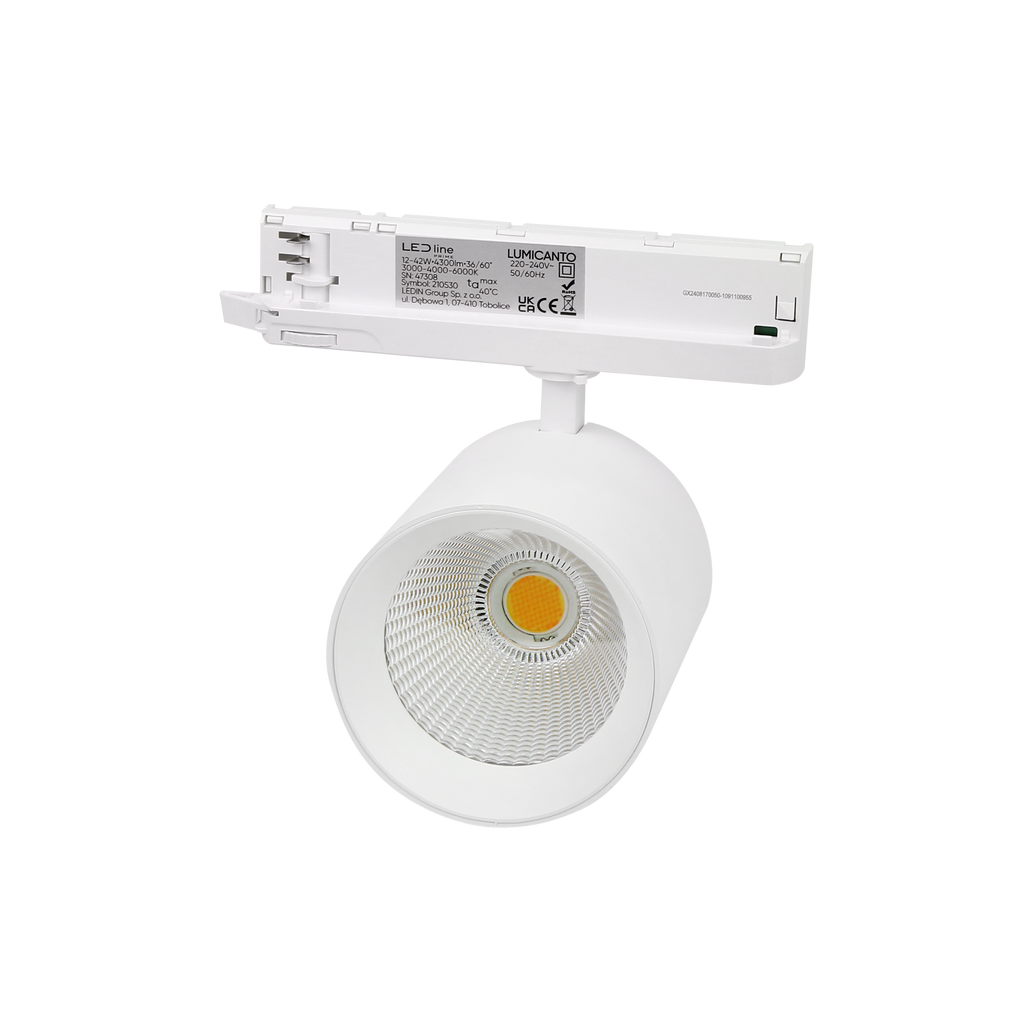 Railspot LUMICANTO 12-42W CCT 36/60° wit PRIME