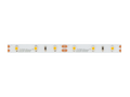 LED-strip 300/5m SMD 12V 6500K 4.8W IP20 8mm 50m 480lm/m PRIME