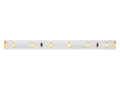 LED-strip 300/5m SMD 24V 6500K 4.8W IP65 8mm 5m 480lm/m LITE