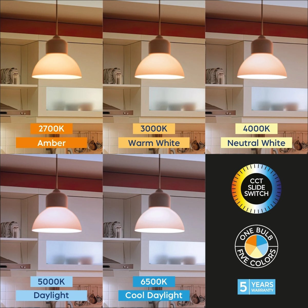 Braytron Premium LED Lamp E27 8,5W A60 5IN1