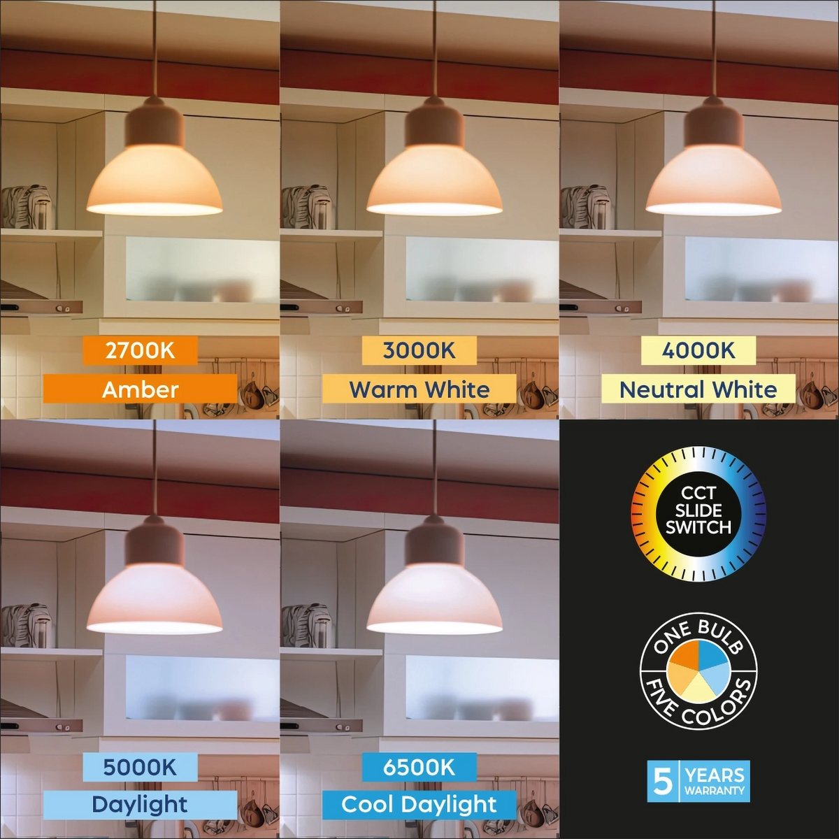 Braytron Premium LED Lamp E27 13,5W A65 5IN1