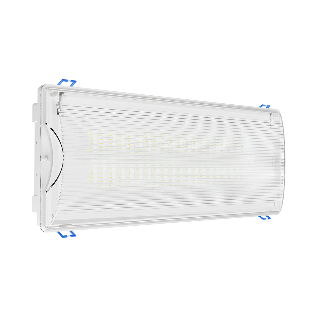 Braytron Exit Nooduitgangverlichting 5W IP65 Wit LED DUAL