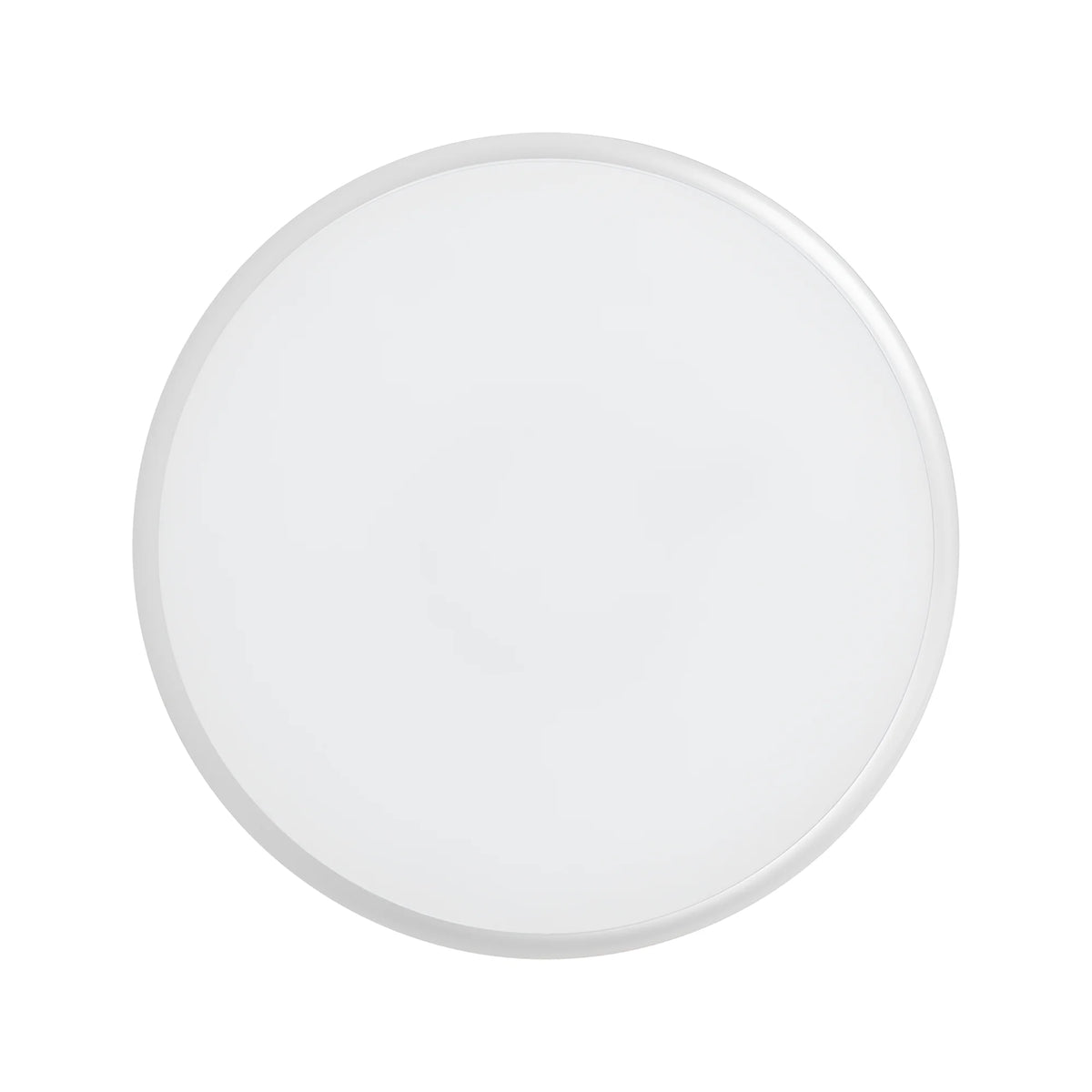 Braytron Grande Plafondlamp 20W IP65 RND 5IN1 SNS