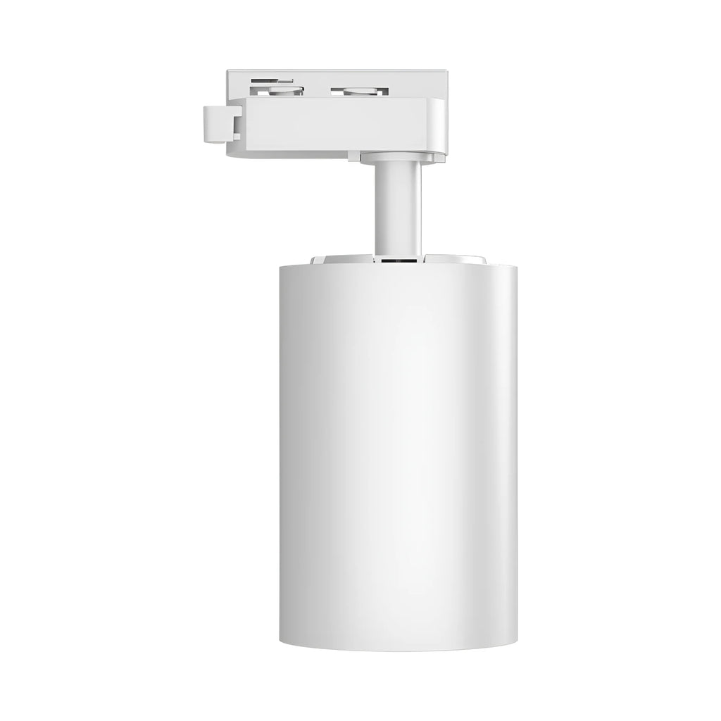 Braytron Shopline Railspot 30W Wit P30 2WRS 3IN1