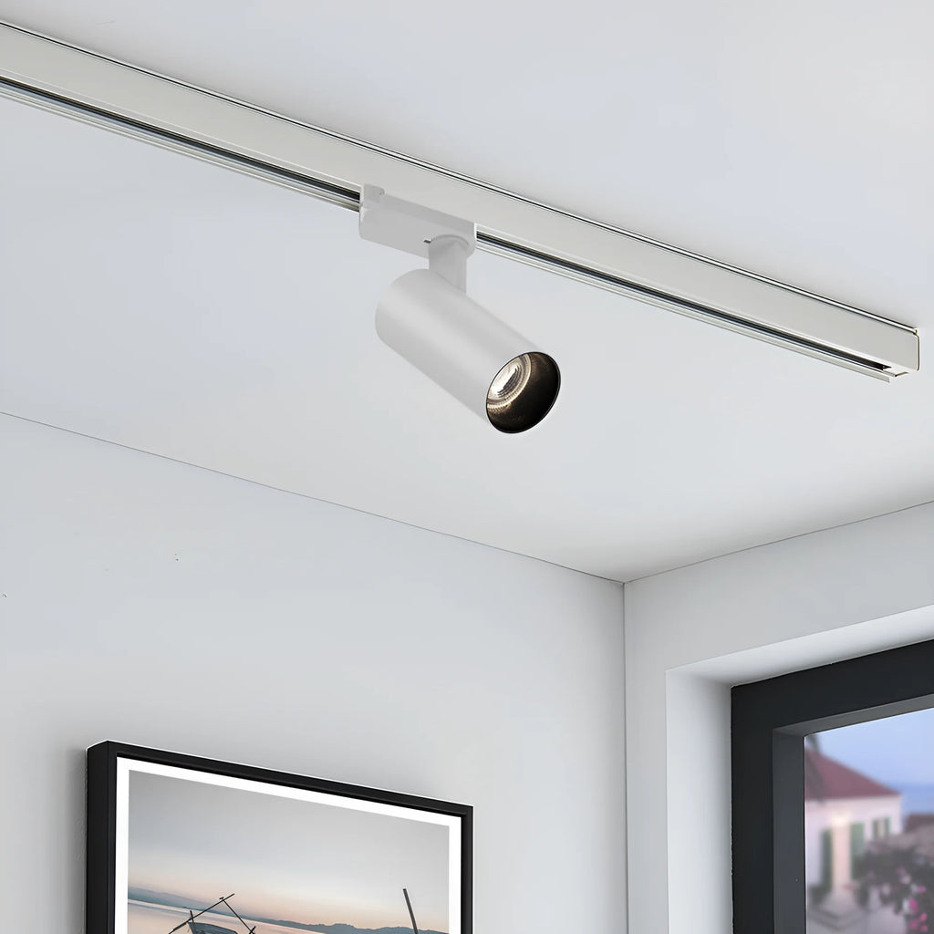 Braytron Shopline Railspot 30W Wit P30 4WRS 3IN1
