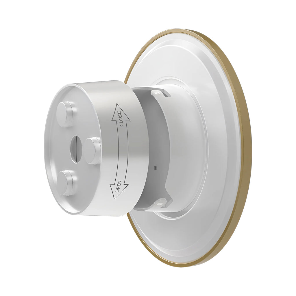 Braytron Palermo Wandlamp 12W IP65 Goud M RND 3IN1