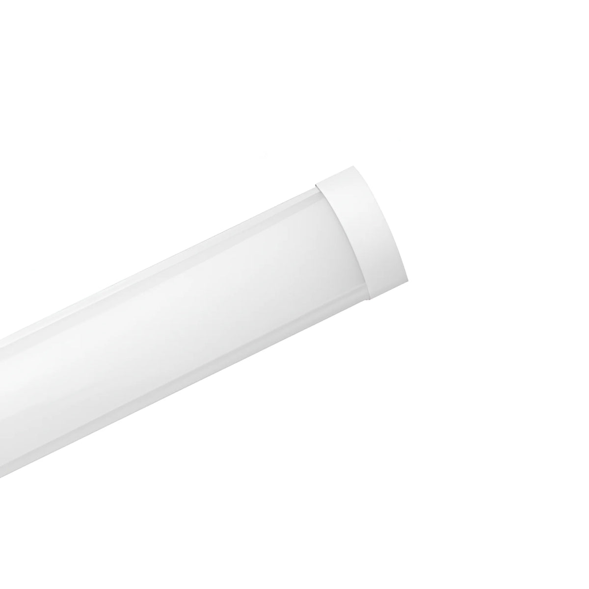 Braytron Proline LED Wandlamp 18W 6500K PS 0.6MT PLS