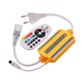 Braytron Ecoline Controller 5050 96L2 50MT CONTROLLER(BS01