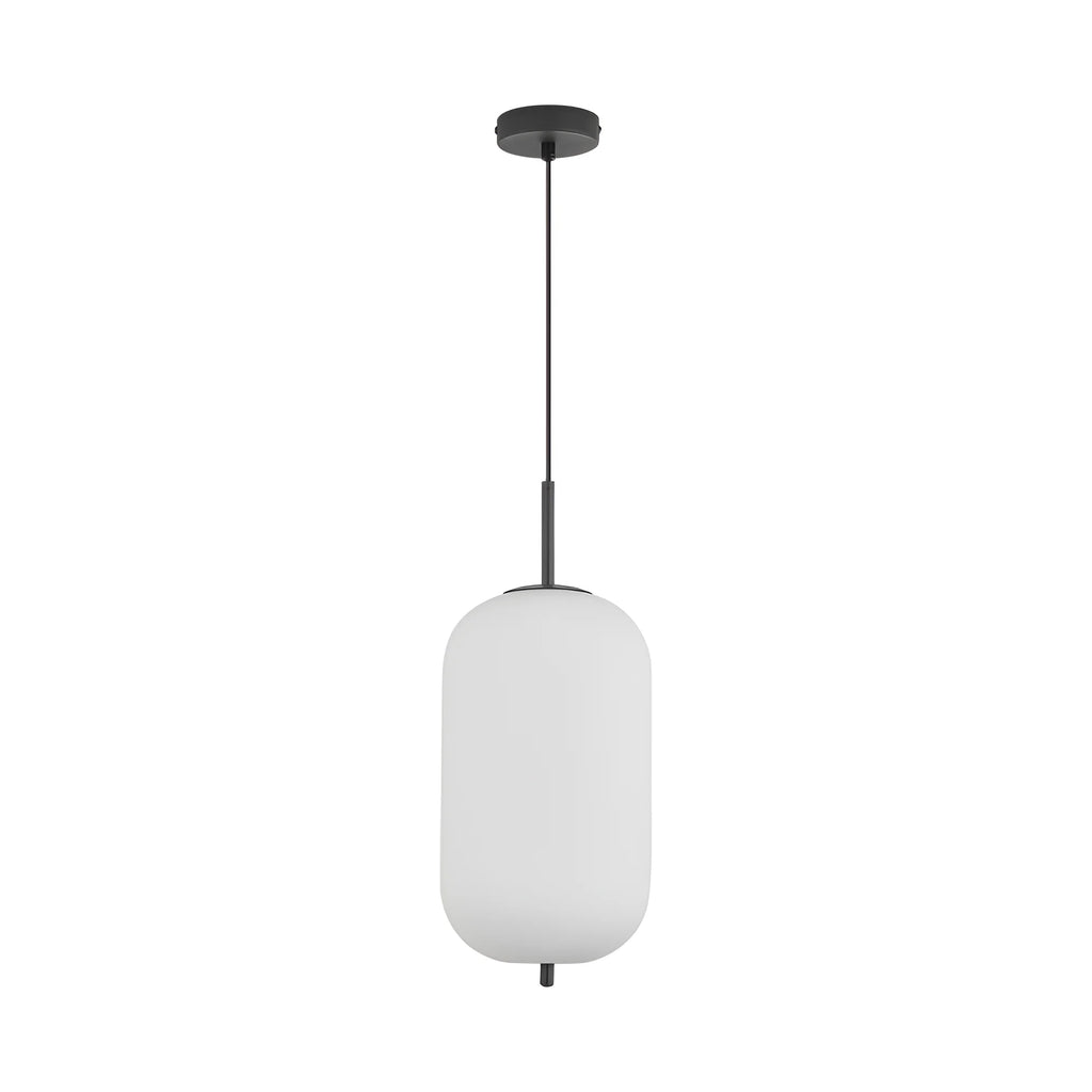 Braytron S011R Hanglamp Zwart 1H 1xE27 OPL