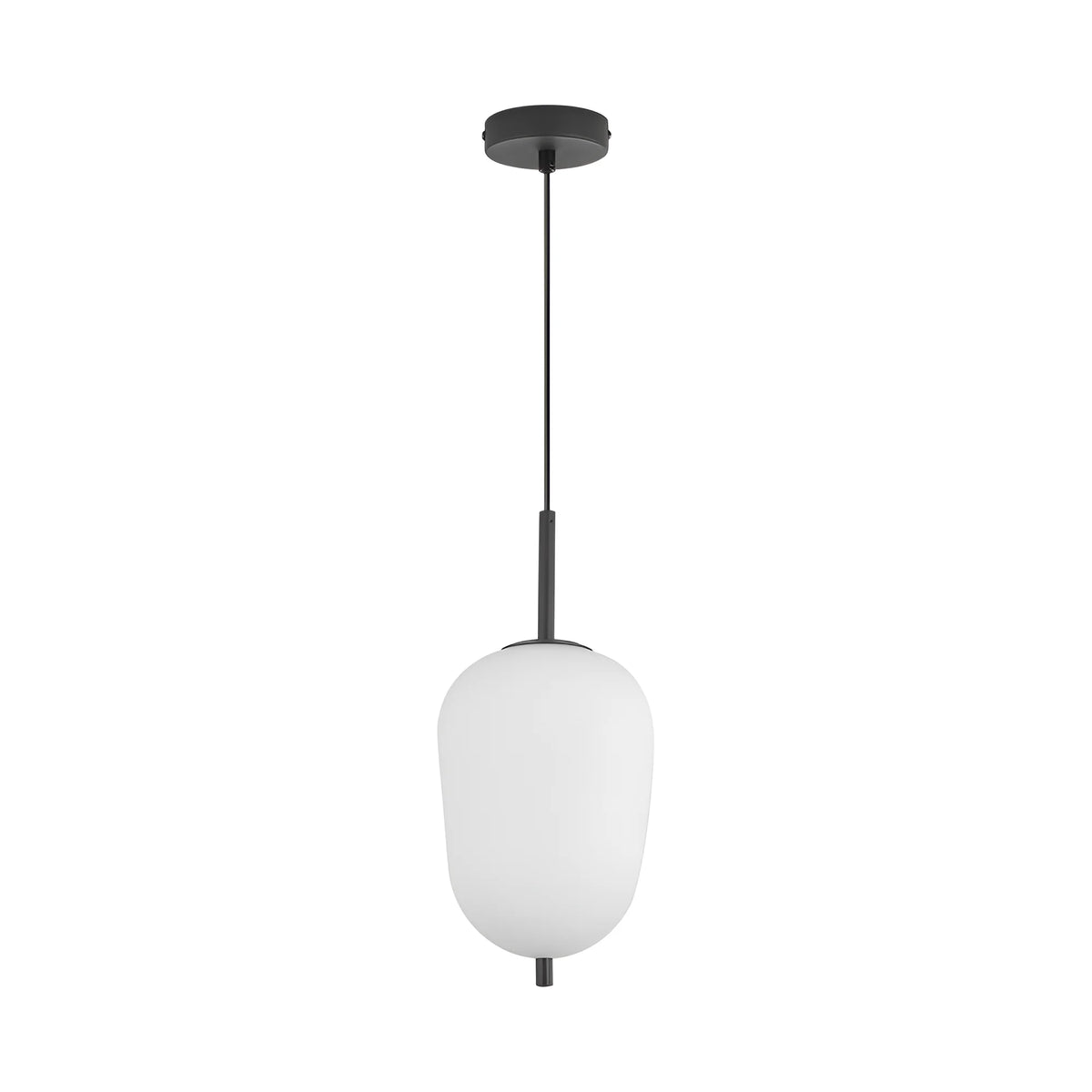 Braytron S011R Hanglamp Zwart 1H 1xE14 OPL