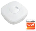 MERRYTEK aan/uit 120/277Vac, TUYA ZigBee, opbouw